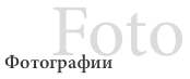 El7.gif